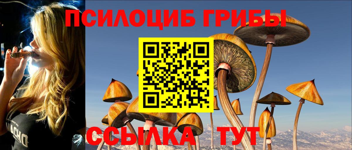 Галлюциногенные грибы мицелий  Вход с VPN  Заволжье 